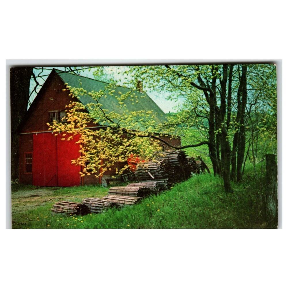 Vintage Plastichrome Postcard Roxbury Vermont Red Barn Spring Woods